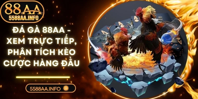 Đá Gà 88AA